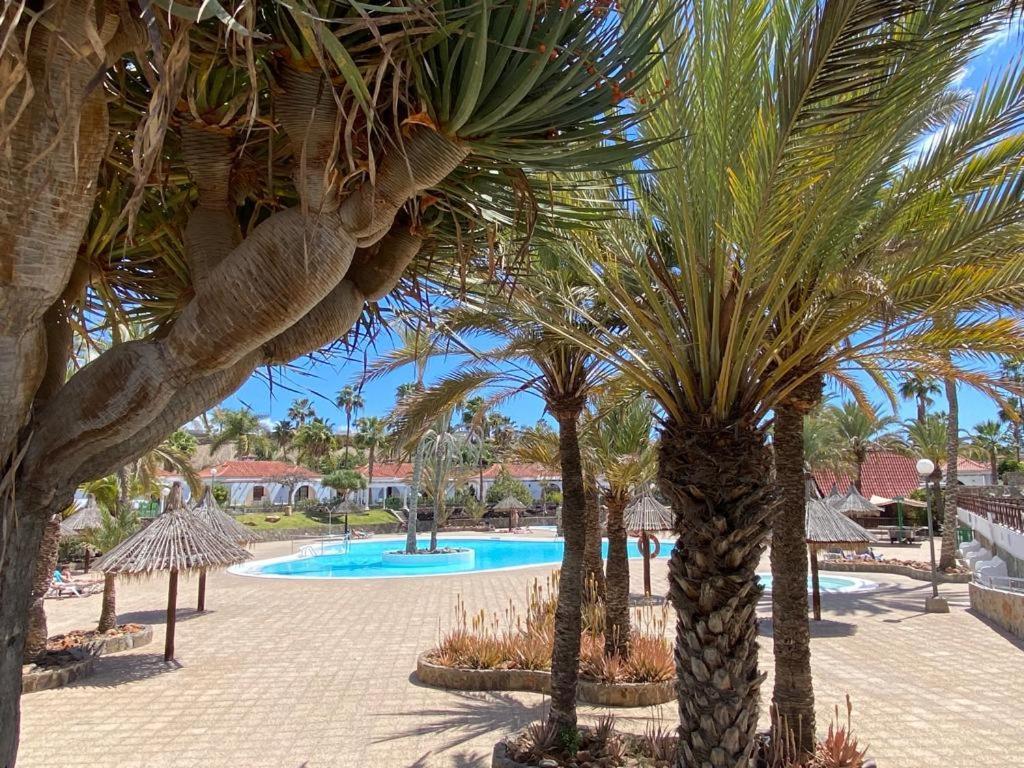 Apartament Parque Golf By Sunhousescanarias *